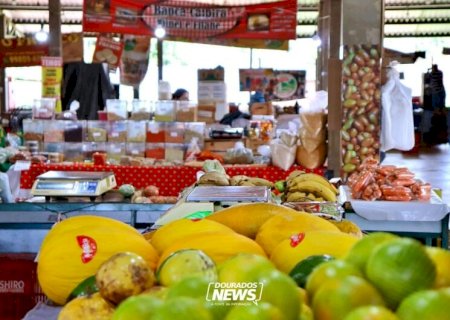 Ladrões furtam 100 metros de fiação e comprometem instalação elétrica da Feira Livre de Dourados