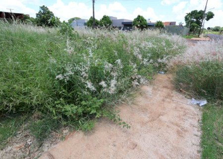 Donos de terrenos baldios recebem notificação para limpeza e roçada em Dourados