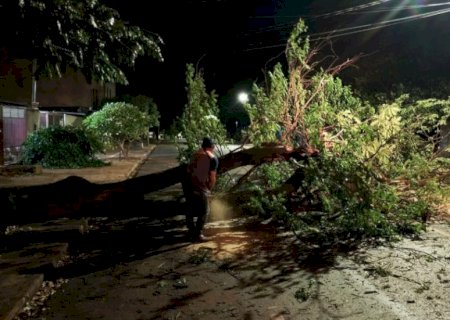 Prefeitura mobiliza força-tarefa após temporal causar estragos em Dourados