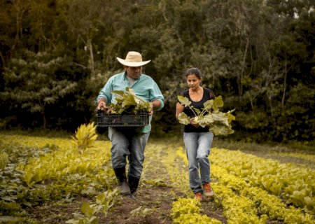 BNDES já aprovou R$ 7,2 bi para produtores rurais impactados por eventos climáticos