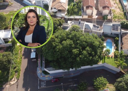 Juiz nega pedido de Adriane para impor censura nas redes sociais e cita liberdade de imprensa