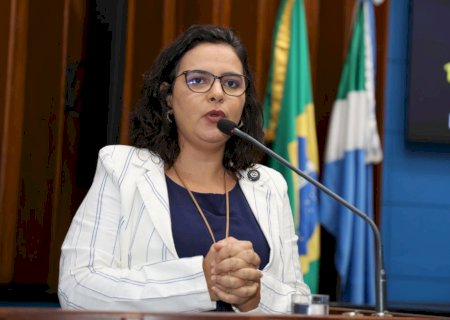 Projeto cria Protocolo Ampara, com apoio para mulheres com medida protetiva em MS