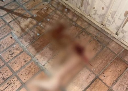 Mulher é atropelada e perna da vítima é encontrada a 50 metros do local do acidente