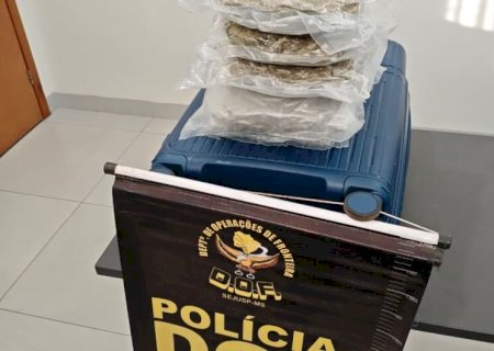 Passageiro de veículo de aplicativo é preso com skunk