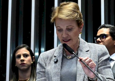 ‘Boa e sensata notícia’: Tereza Cristina comemora prisão domiciliar a Bolsonaro