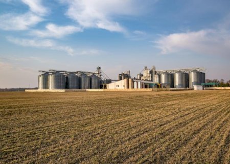 Comercialização de soja e milho apresenta ritmo cauteloso em Mato Grosso do Sul