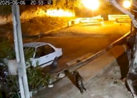 Onça-pintada avança em área urbana e força-tarefa é mobilizada para captura em Corumbá