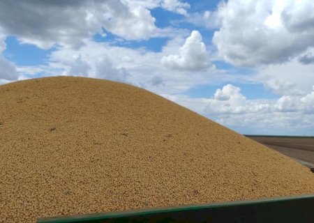 Soja assume liderança de vendas externas em Mato Grosso do Sul