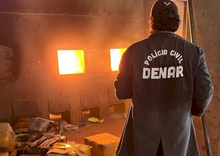 Mais de 9 toneladas de maconha e cocaína são incineradas na Capital