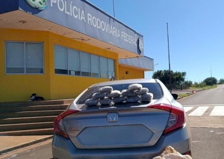 Mulher é presa com 50 quilos de skunk enquanto viajava com a filha menor
