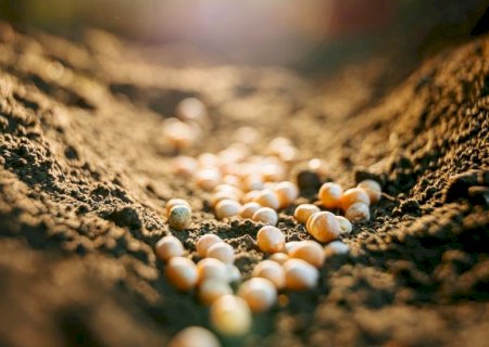 Instabilidade internacional causa aumento no preço de fertilizantes
