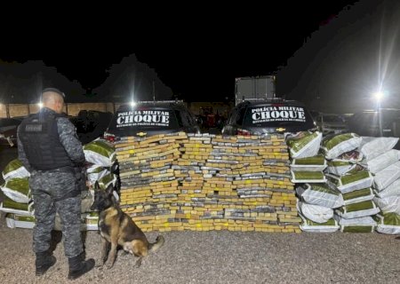Choque encontra 1,2 tonelada de maconha em 'bunker' construído em residência
