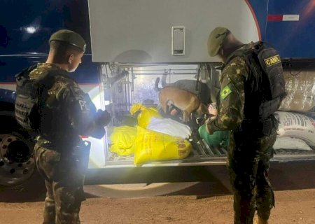 Operação Jaguaretê-Oeste soma R$ 42 milhões em drogas, armas e cigarros apreendidos