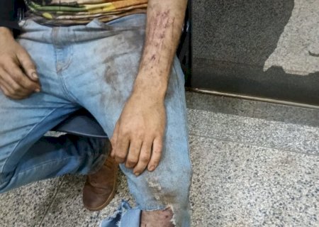 Com arranhões, operador de colheitadeira diz que foi atacado por onça em lavoura