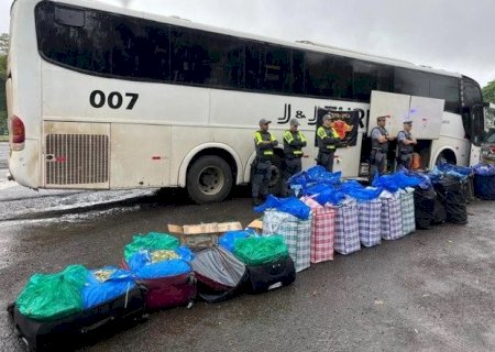 Bolivianos são flagrados transportando 746,8 quilos de folhas de coca em SP