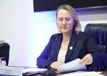 Liandra solicita serviço de drenagem no Vival dos Ipês