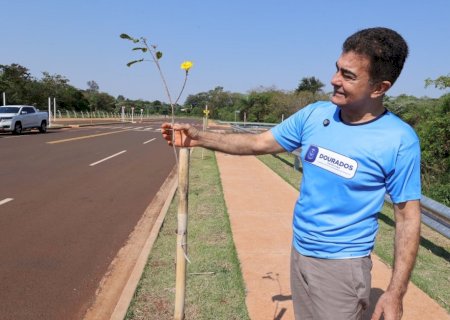 No Dia da Árvore, prefeito planta muda na Avenida dos Ipês, que também recebe espécies frutíferas