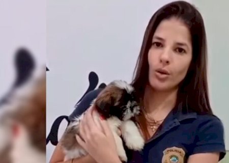Mulher é presa após filmar agressões contra cachorrinha em praça de MS
