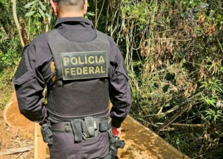 Ação conjunta da PF, Ibama e Funai combate desmatamento ilegal em área indígena