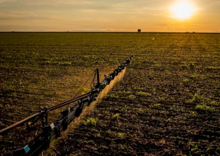 Novas regras do Seguro Rural ampliam cobertura e proteção ao produtor