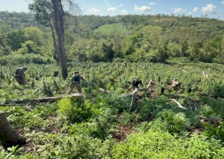 Senad apreende quase 30 toneladas de drogas que seriam enviadas para o Brasil
