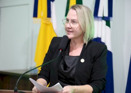Liandra propõe criação de Frente Parlamentar de enfrentamento à exploração sexual contra mulheres