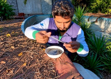 Prefeitura inicia mutirões de limpeza para combater Chikungunya, Dengue e Zika Vírus
