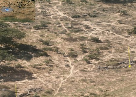 Ministério Público investiga desmatamento de 750 hectares no Pantanal
