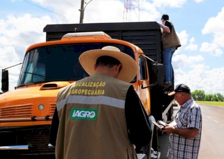 Seminário vai discutir combate ao uso de agrotóxicos ilegais e transporte irregular de insumos