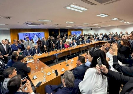 Rose Modesto participa de reunião em Brasília que definiu apoio a Flávio Bolsonaro